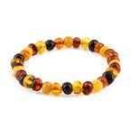 Adult Baltic Amber Bracelet. Baroque Multicolour 6mm - XB65M