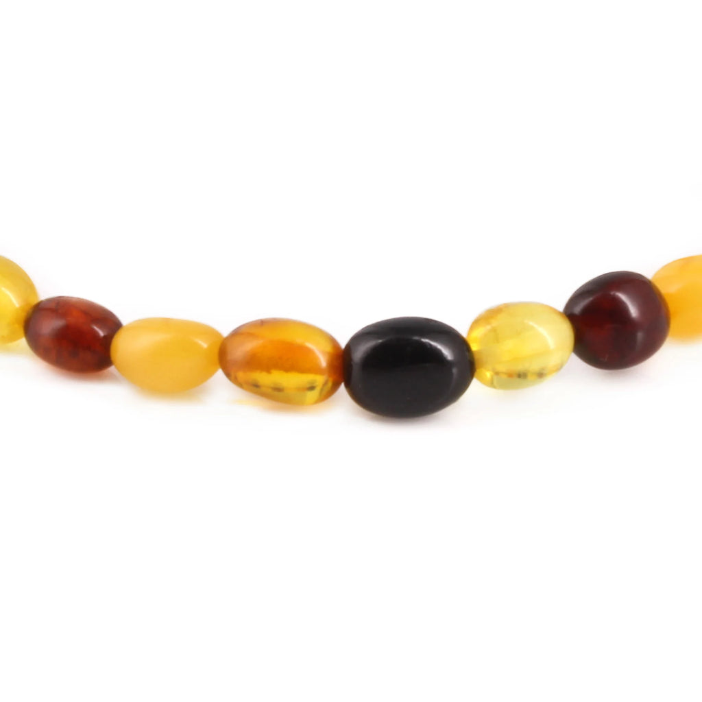 Adult Baltic Amber Bracelet. Olive Multicolour 5mm - XO54M