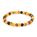 Adult Baltic Amber Bracelet. Baroque Multicolour 6mm - XB65M