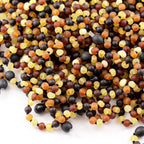 Adult Baltic Amber Necklace. Baroque Multicolour 5mm - XB54M2M