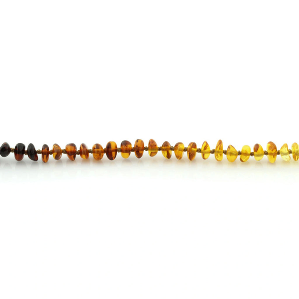 Adult Baltic Amber Necklace. Roundel Rainbow 5mm - RO80
