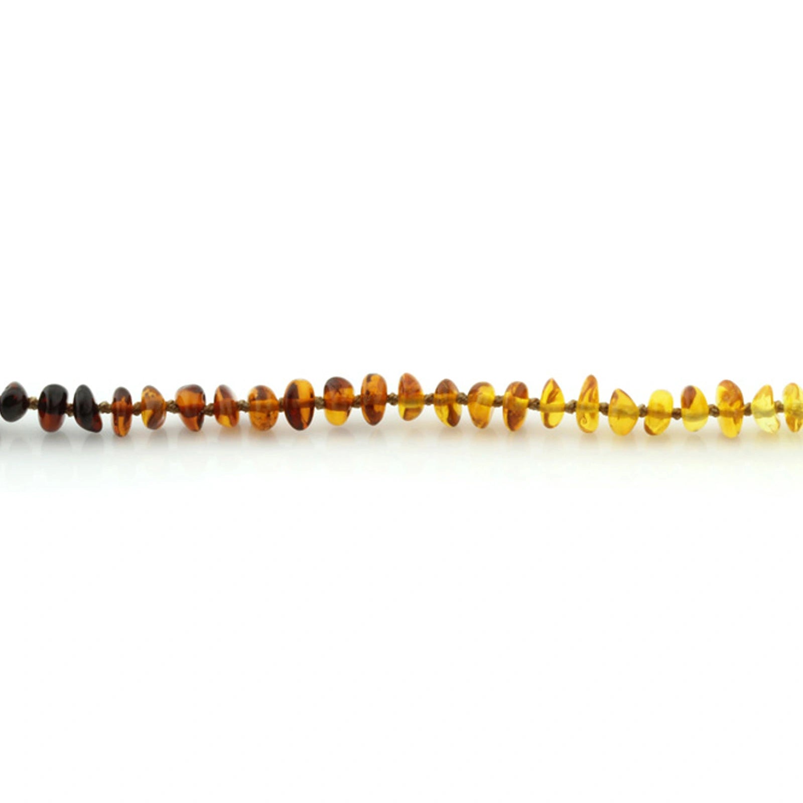Adult Baltic Amber Necklace. Roundel Rainbow 5mm - RO80