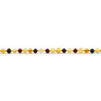 Adult Baltic Amber Necklace. Baroque Multicolour 5mm - XB54M1