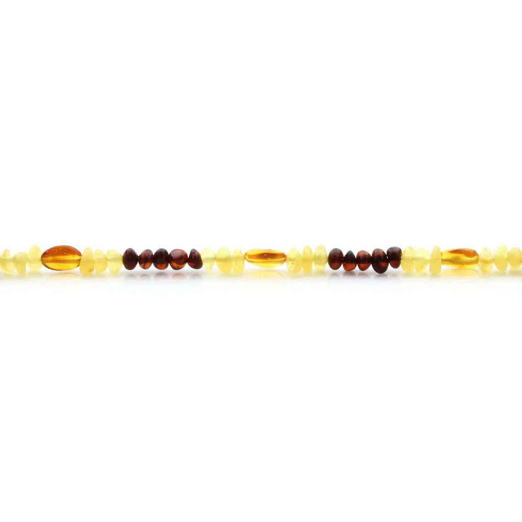 Adult Baltic Amber Necklace & 925 Sterling Silver Clasp 45cm. LE21