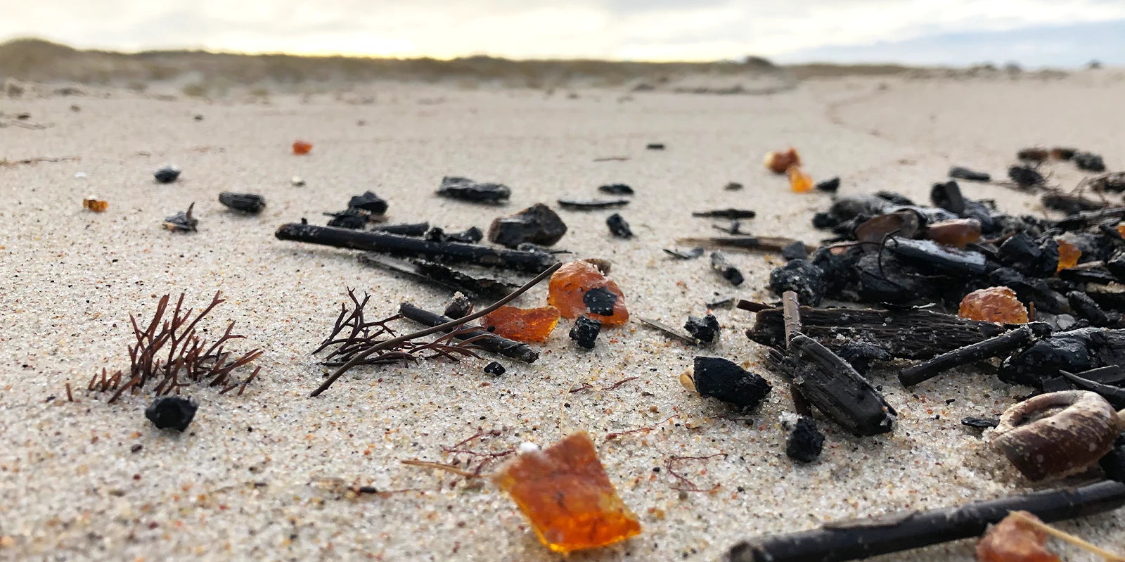raw baltic amber pieces washed on the shore of the baltic sea