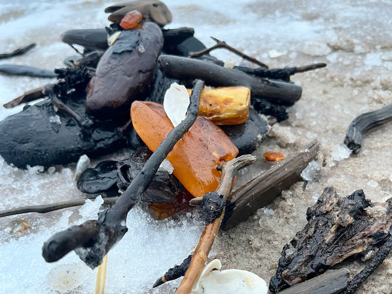 amber pieces from the baltic sea