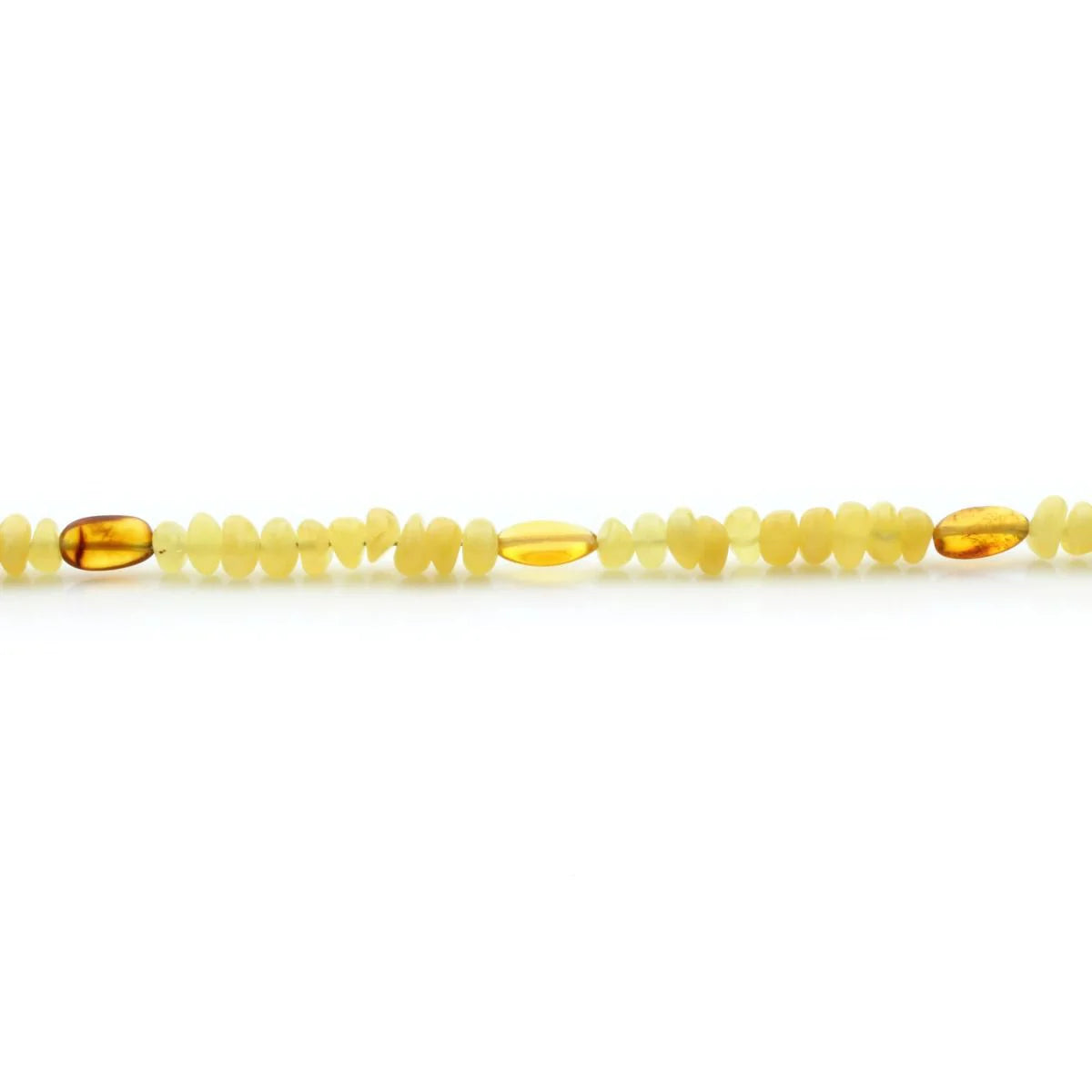 Adult Baltic Amber Necklace with 925 Sterling Silver Clasp. EE02