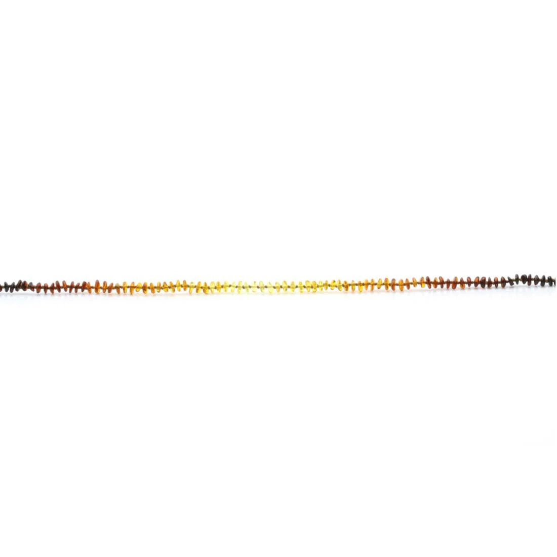 Adult Baltic Amber Necklace. Round Flat Rainbow II 5x2 mm
